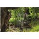 Solární fontána Water Splash 20W 1350l/hod, esotec